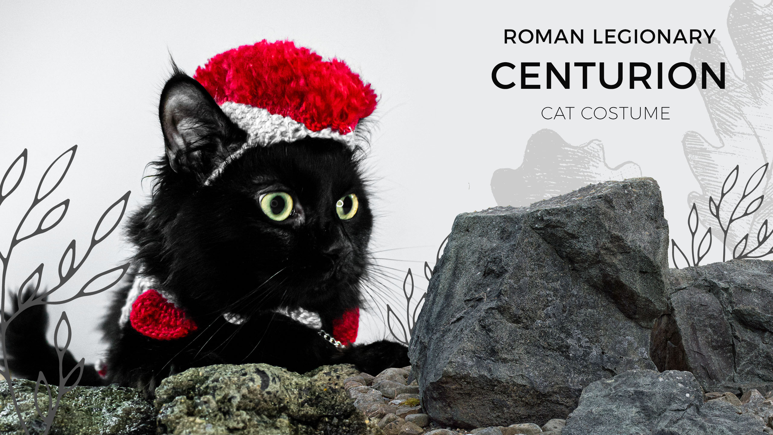 Roman Centurion Cat Costume